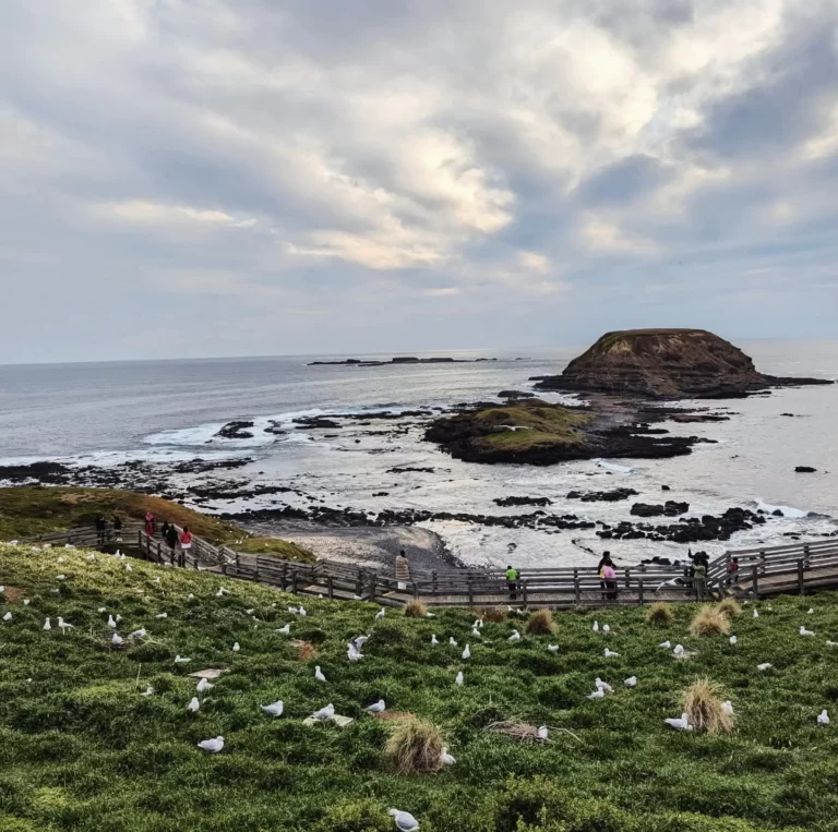 French Island & Phillip Island