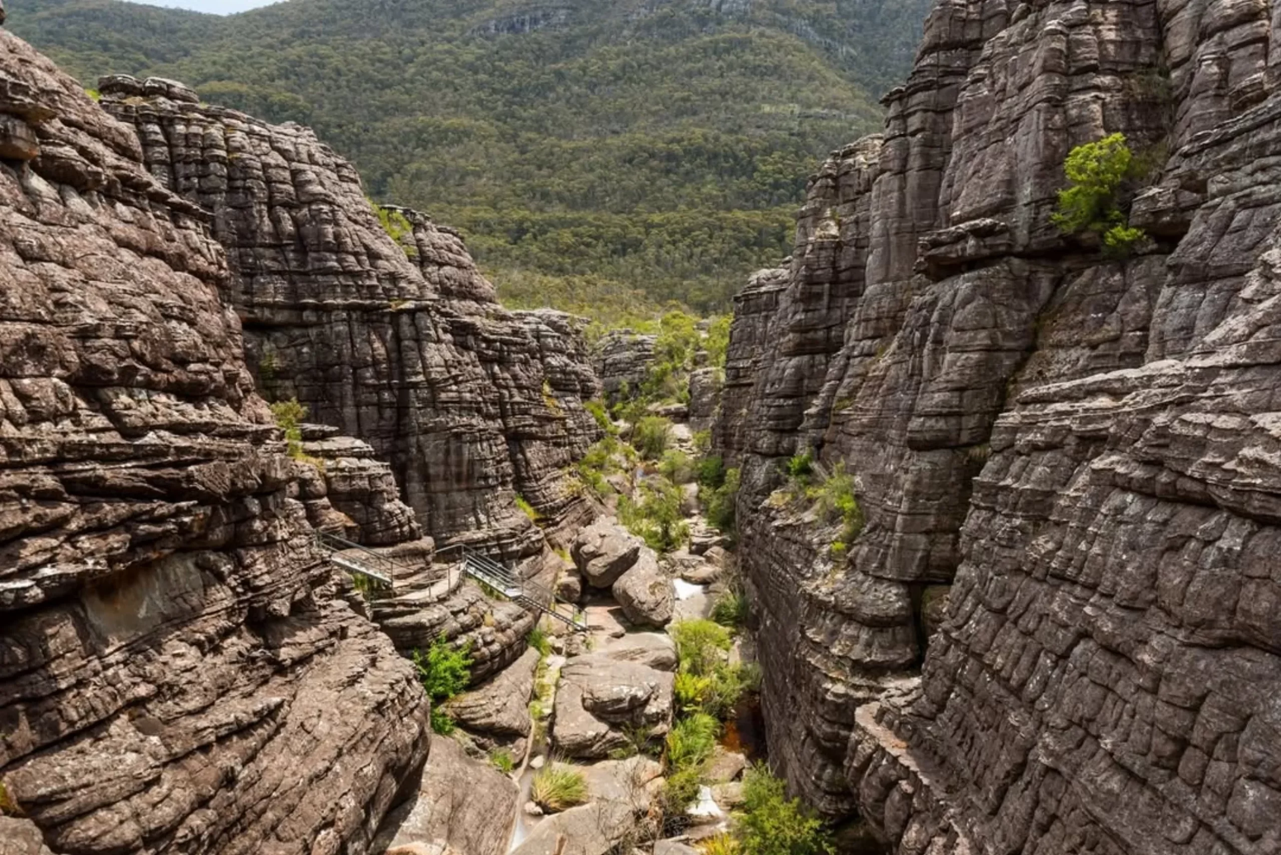 Grand Canyon Walk, Blue Mountains