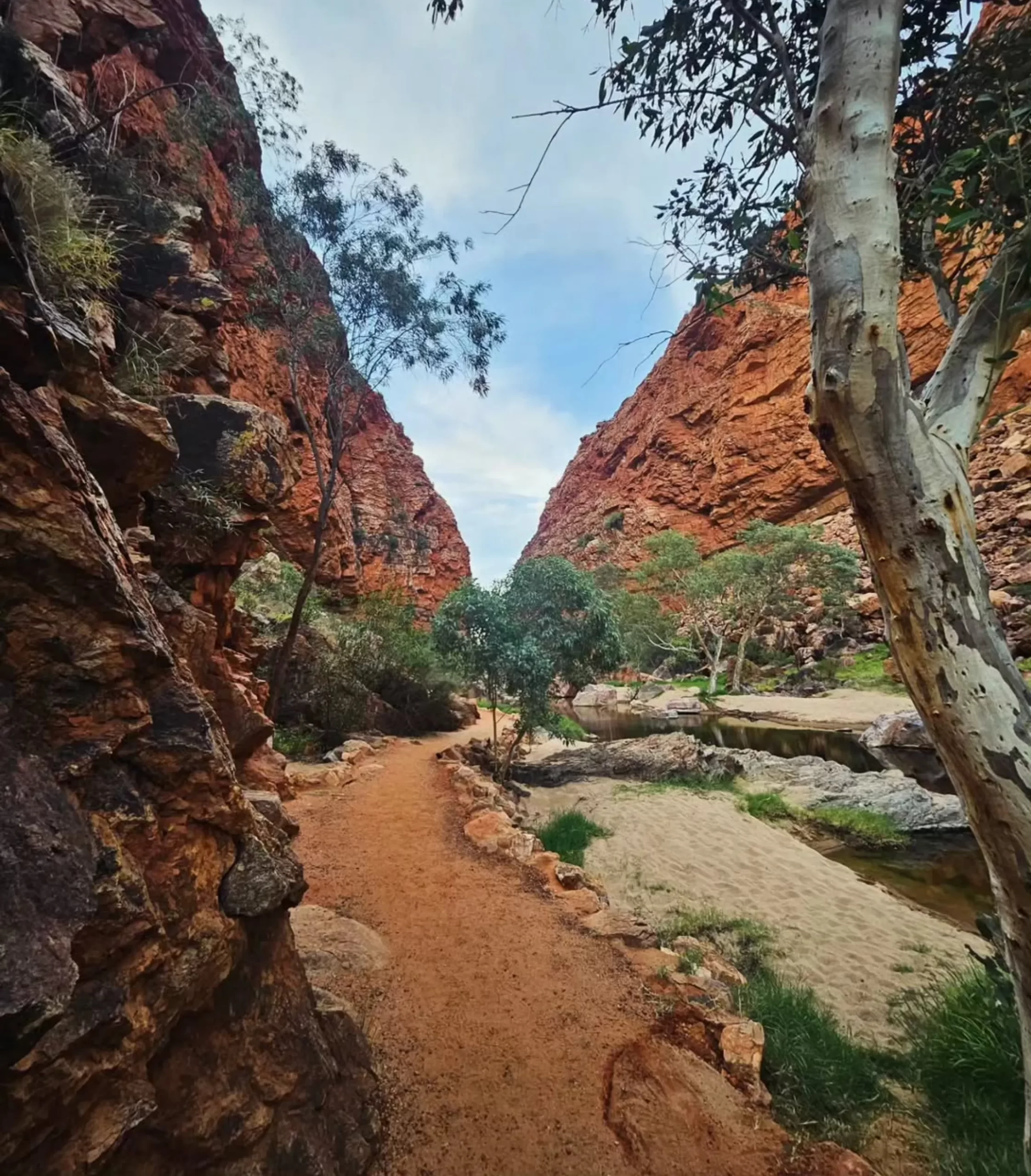 Simpsons Gap, Larapinta