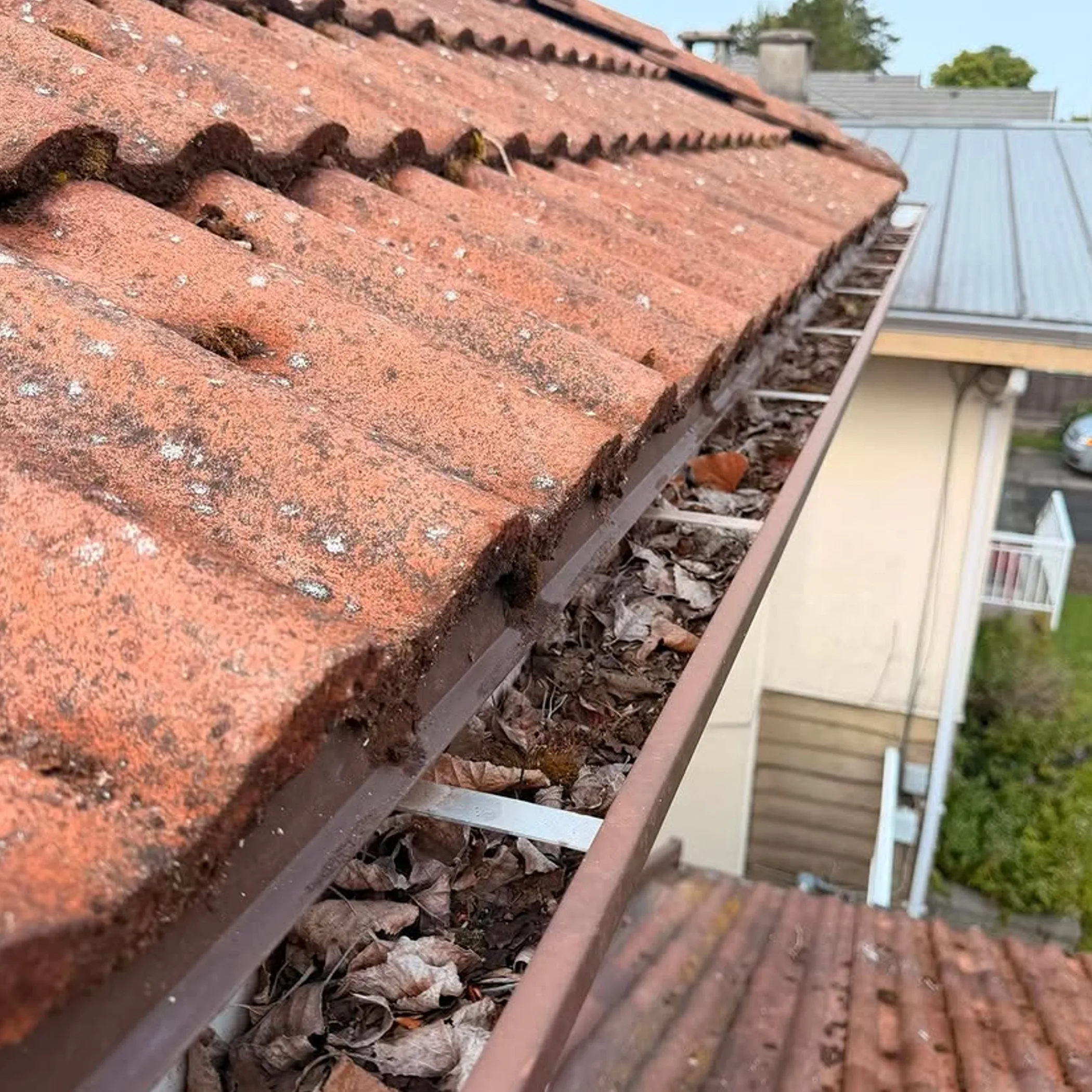 exterior roof and gutter cleaning