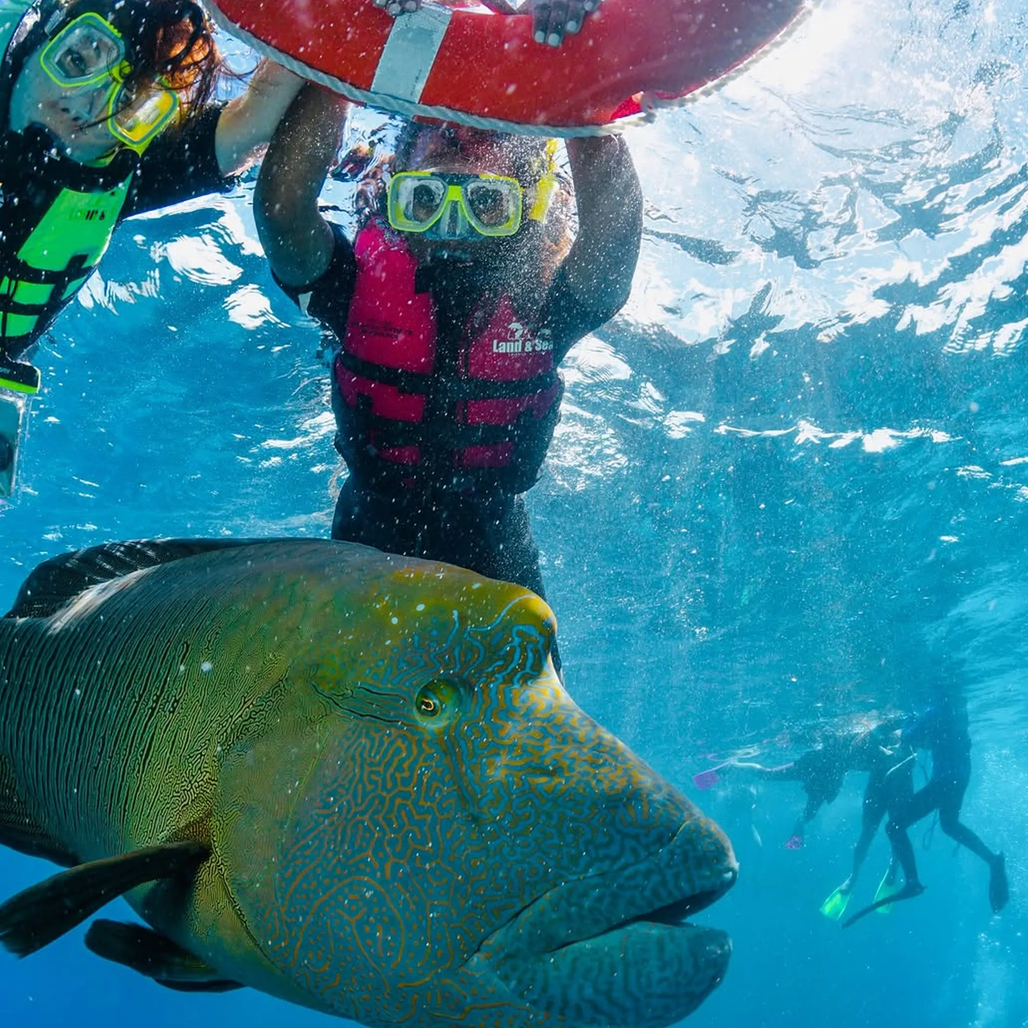 snorkeling over vibrant coral reef