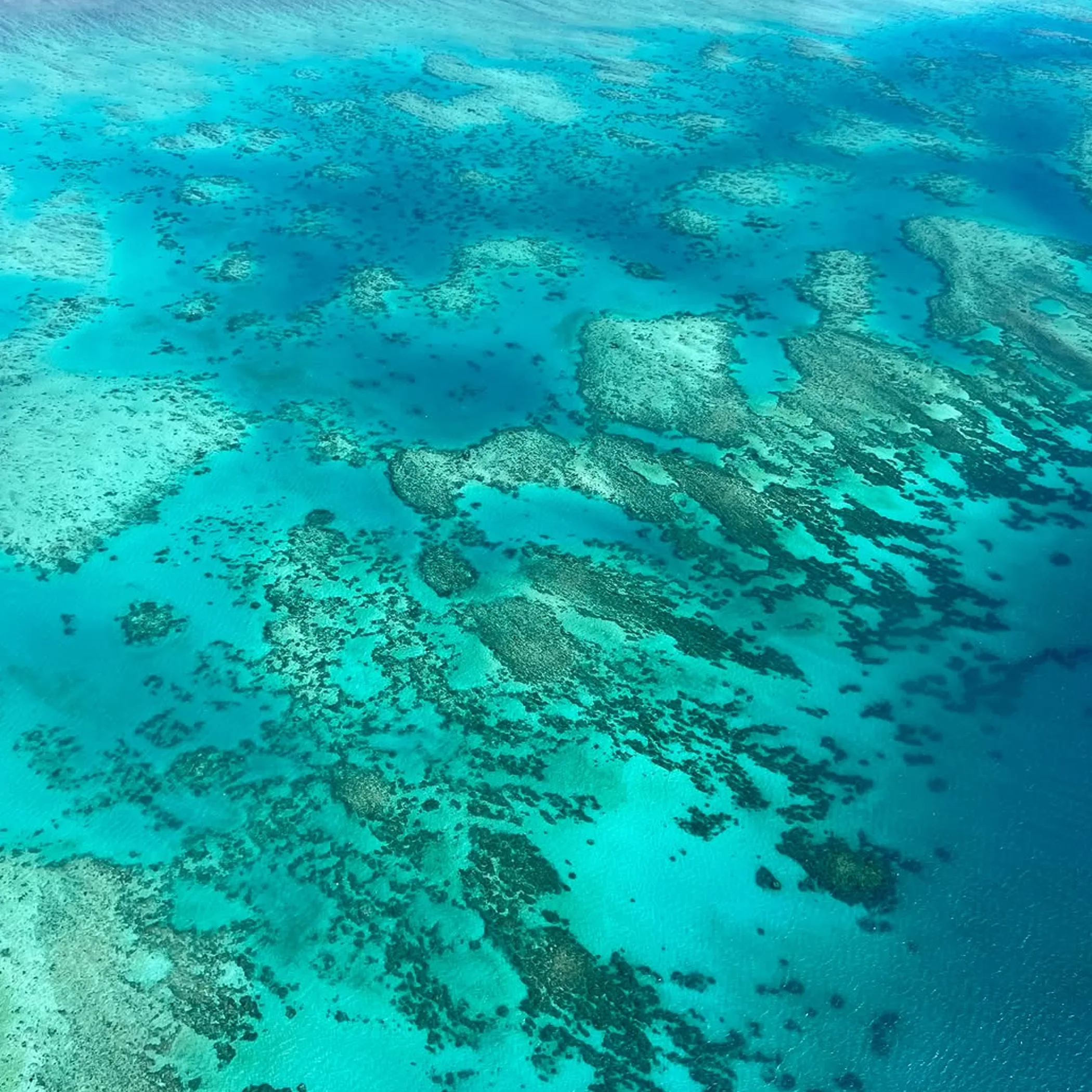 aerial view of great barrier reef
